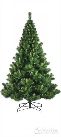 Ель peneri элегия 210 см