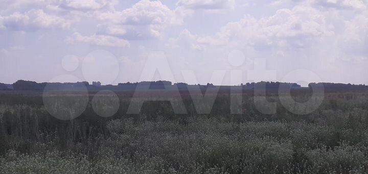 Участок 8,4 сот. (ИЖС)