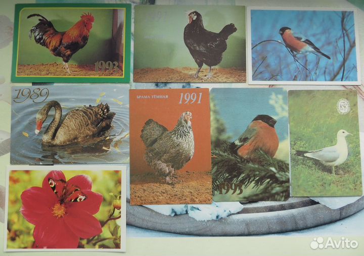 Календарики Флора фауна 85-93 гг