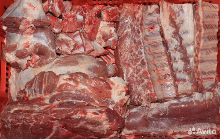 Мясо свинина домашняя