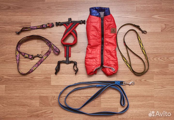 Амуниция для собак(комбинезон, поводки)