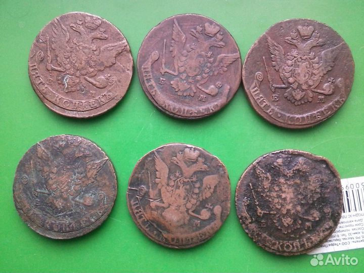 Погодовка Екатерина пятаки