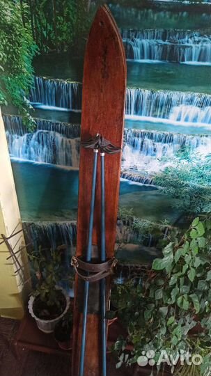 Лыжи охотничьи дерево