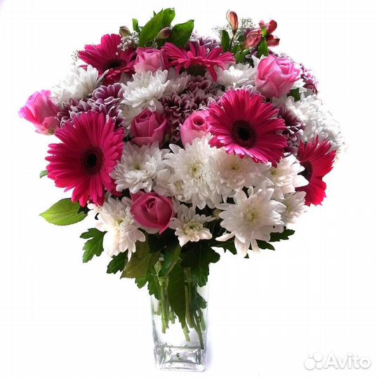 Хризантема кустовая