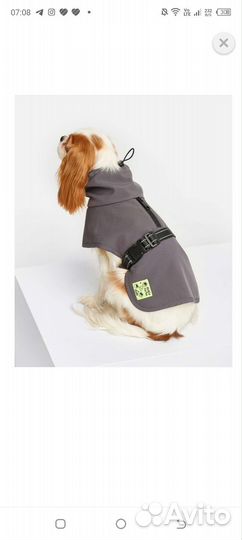 Попона для собак