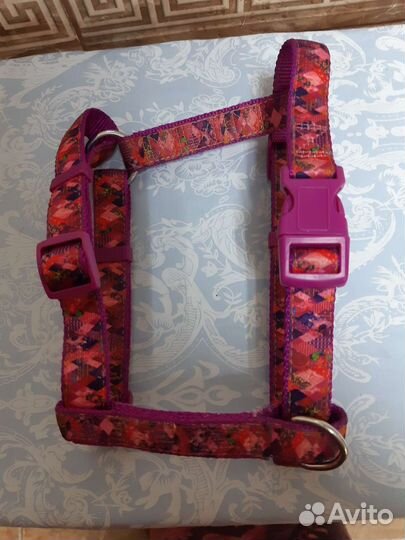 Ошейник и шлейка