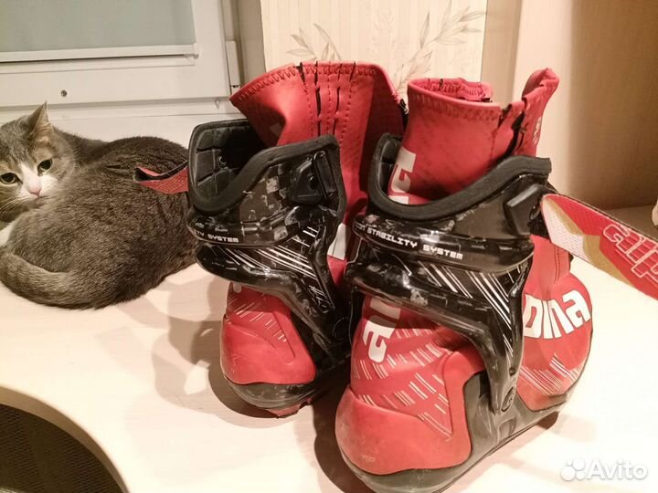 Лыжные ботинки alpina