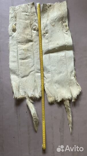 Шкурка животного Соболя