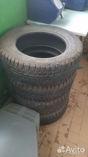 Gislaved Euro Frost 5 195/65 R15