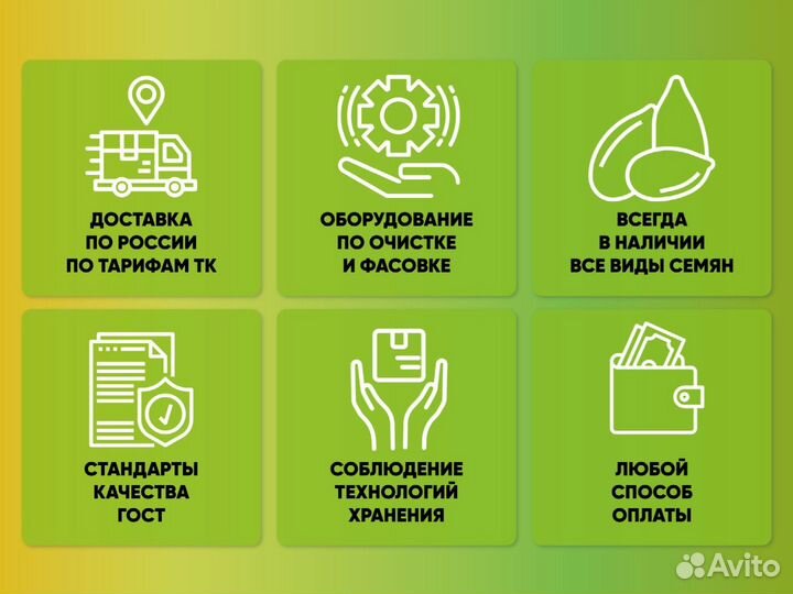 Семена овсяницы луговой