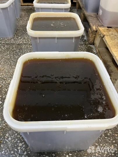 Разнотравье темное мёд Свежий Качка 2023 год