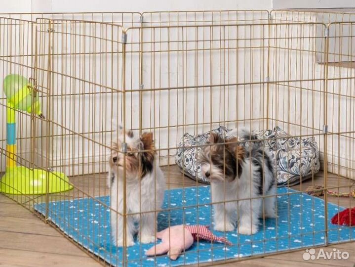 Многоразовая впитывающая пеленка 80х90 см