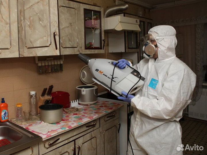 Уничтожение тараканов, клопов, плесени дезинсекция