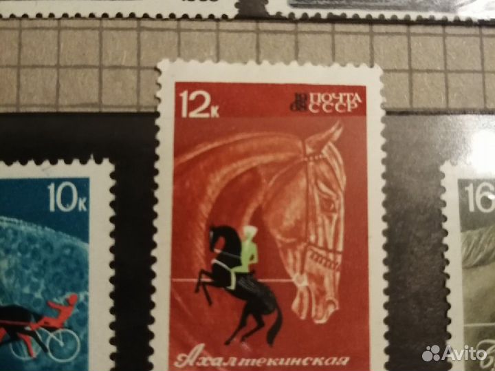 Марки СССР, Ахалтекинская лошадь, 1968г, торг