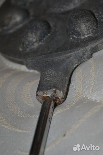 Орешница хворостница СССР