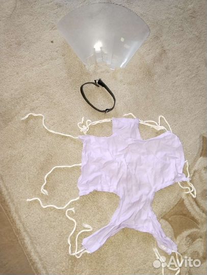 Воротник для собаки и попона ошейник