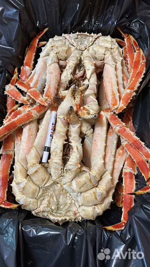 Краб камчатский подарочный