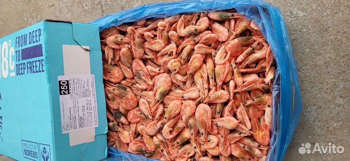 Креветка, крабы, мидии, морепродукты