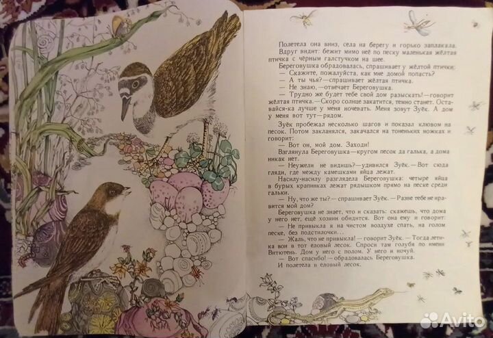 В. Бианки «Лесные домишки»