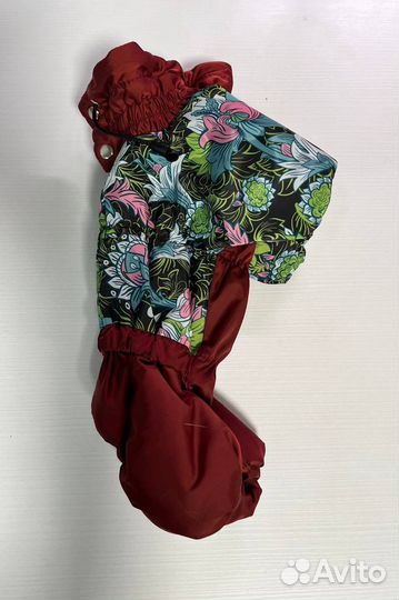 Одежда для маленьких собак