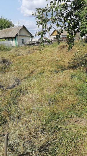 Участок 46 сот. (СНТ, ДНП)