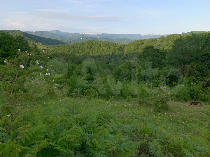 Участок 6,8 сот. (ИЖС)