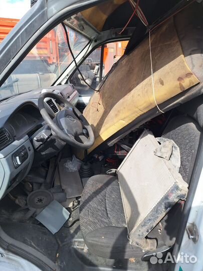 Газель высокая в разбор