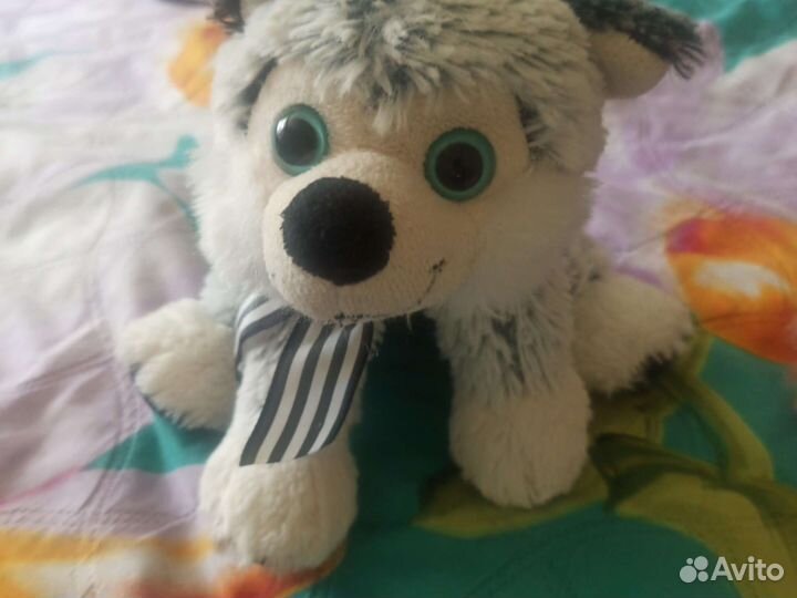 Кукла, собака