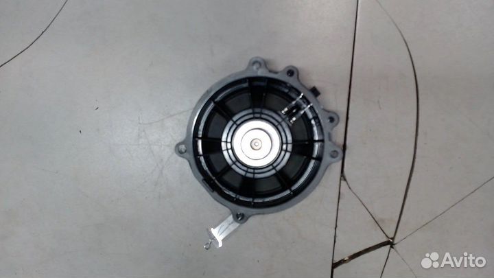 Динамик Tesla Model 3, 2019