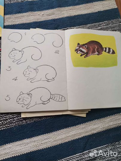 Учусь рисовать