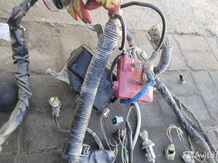 Проводка таета витц/Toyota Vitz 98-05г 1л мт