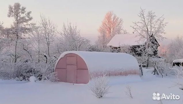 Теплицы. Собственное производство. Капелька и Арка