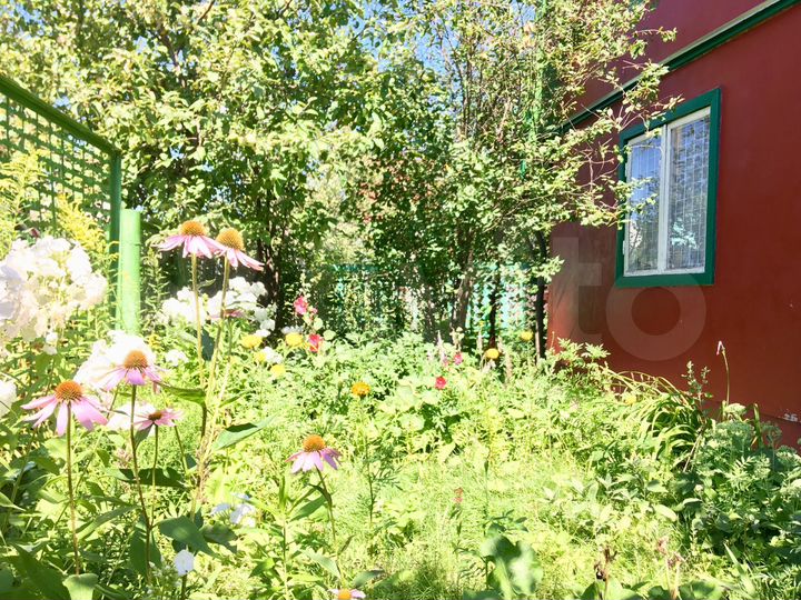 Дача 53,8 м² на участке 4,3 сот.