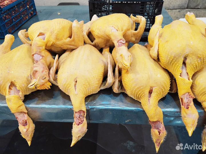 Куры свежие халяль