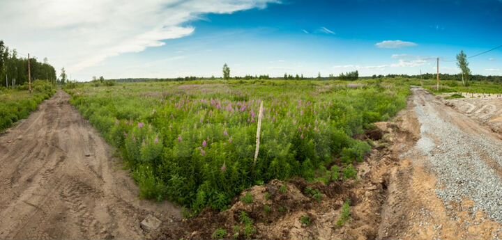 Участок 36 сот. (СНТ, ДНП)