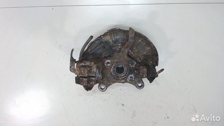 Ступица (кулак, цапфа) Volkswagen Tiguan, 2008