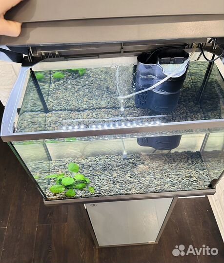 Аквариум Tetra 60 литров