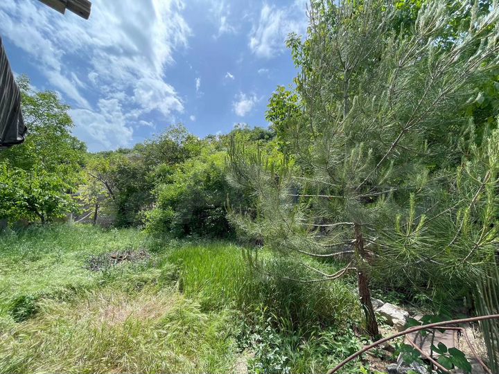 Участок 5,7 сот. (СНТ, ДНП)