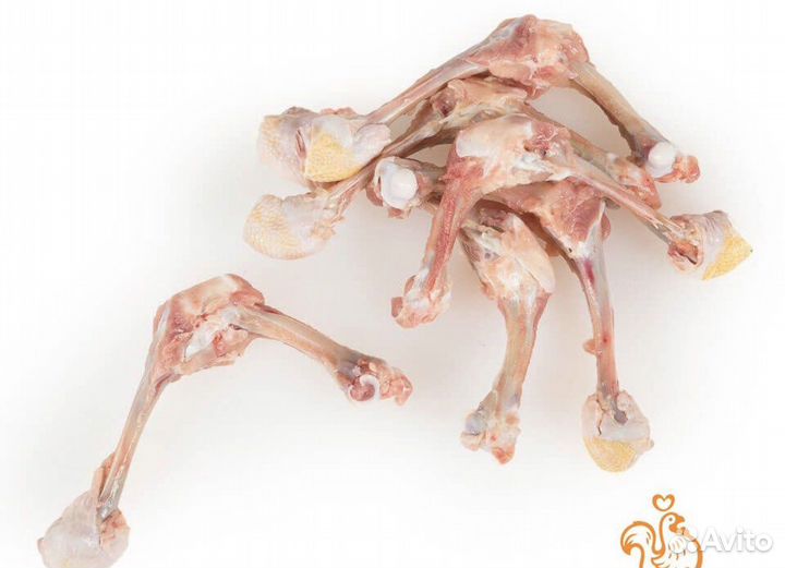 Кости для животных шкура