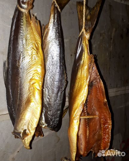 Вентиляторный блок для Дымогенератора Холодного Го