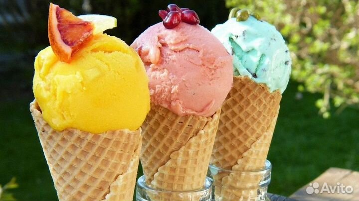 Готовый бизнес: франшиза эксклюзивного мороженого