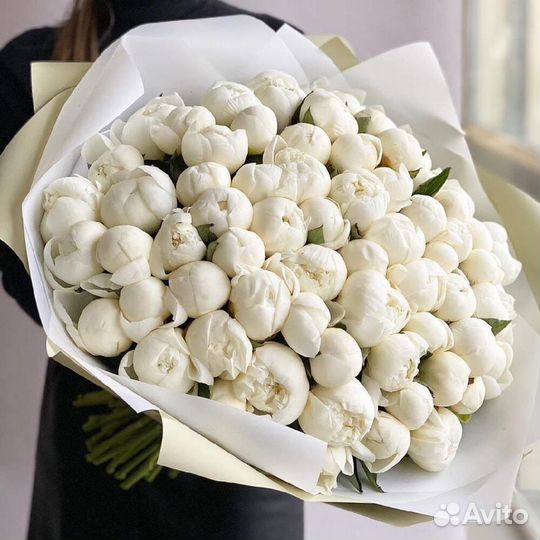 Пион белый / пионы / пион с доставкой