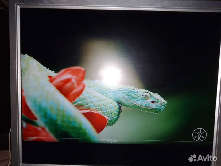 Монитор LG flatron L1718s