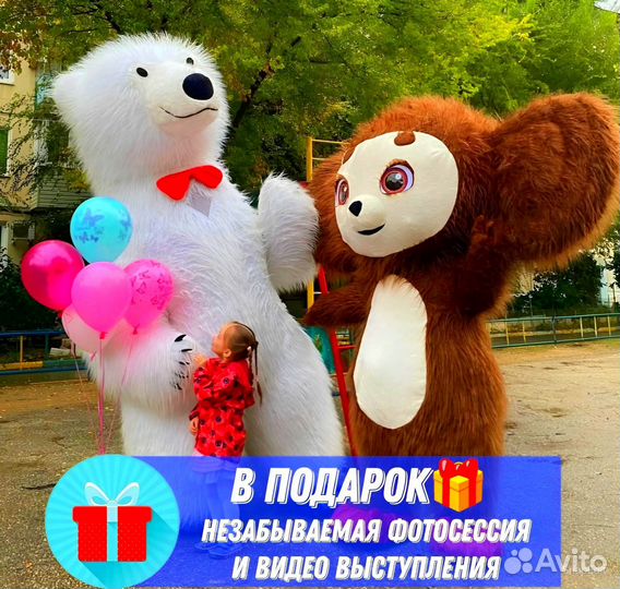 Белый Мишка Поздравление Ростовой Медведь Аниматор