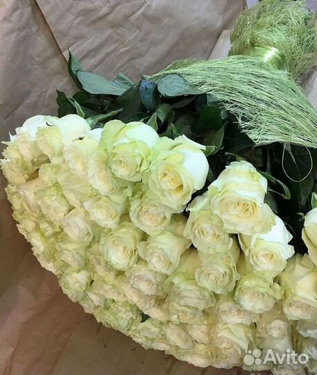 Букет роз 101 роза 51 роза