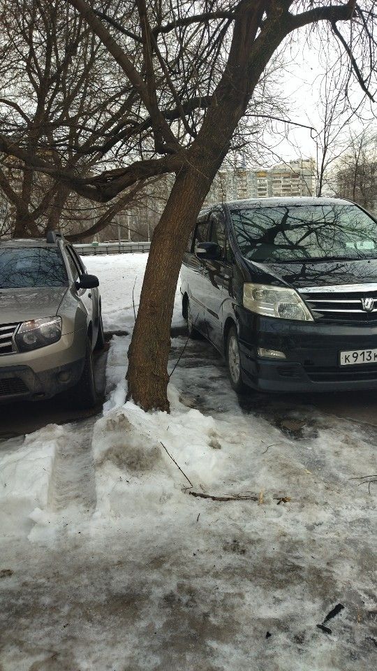 Toyota Alphard: фото владельца