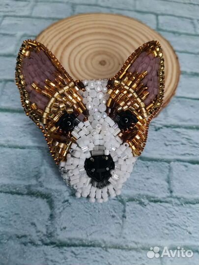 Джек рассел терьер