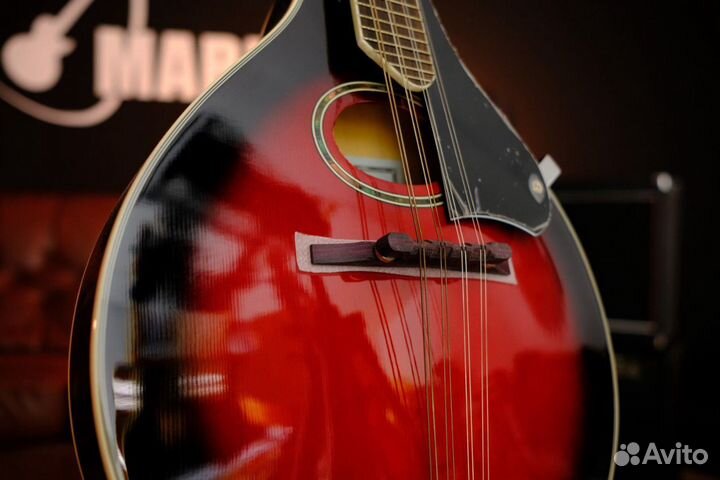 Caraya MA-002-BS Мандолина 4 струны (парные)