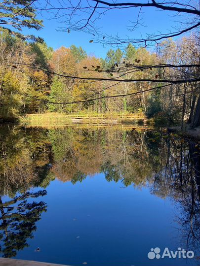 Индивидуальные экскурсии