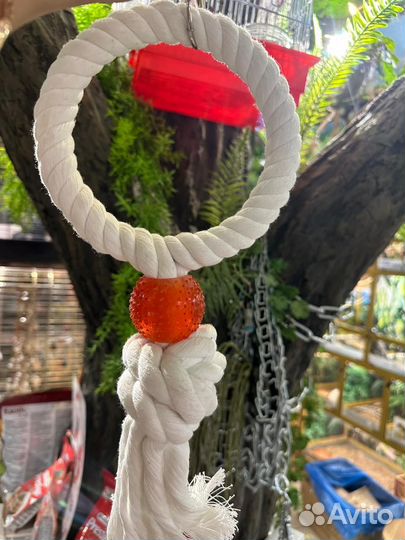 Кольца для птиц